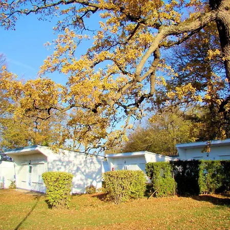 Holiday home Bungalow - #133082